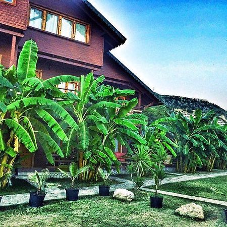 Guesthouse Vila Druri Dhërmi エクステリア 写真