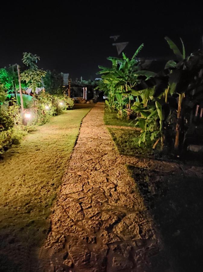 Guesthouse Vila Druri Dhërmi エクステリア 写真