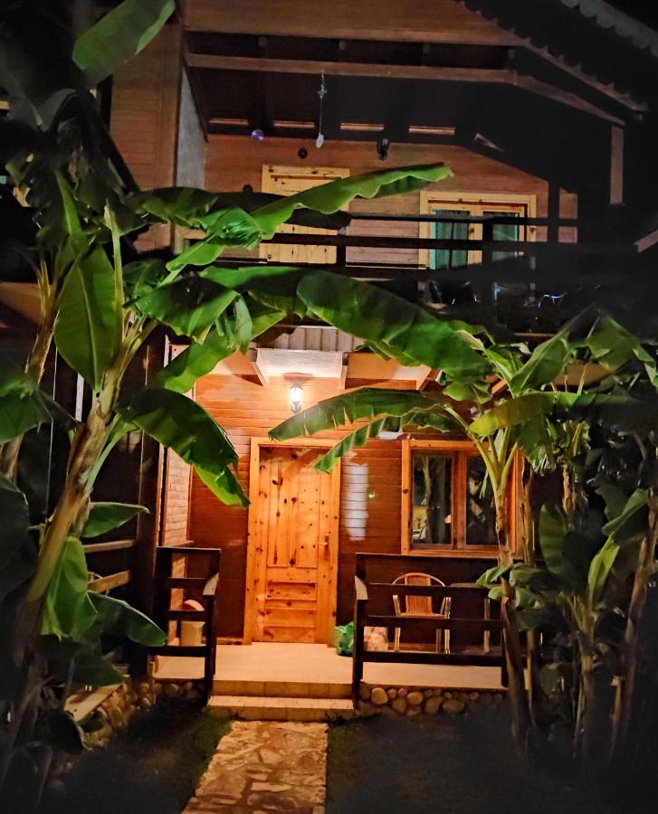 Guesthouse Vila Druri Dhërmi エクステリア 写真
